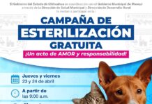 Invita Gobierno de Meoqui a esterilización gratuita de mascotas