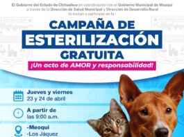 Invita Gobierno de Meoqui a esterilización gratuita de mascotas