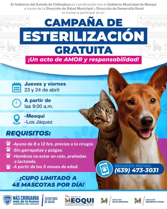 9fcc378d-e3c6-45c0-904e-97c0adf31aa7