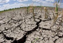 Sequía en Chihuahua permanece sin cambios en la última quincena de marzo