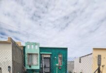 Tres muertes recientes por rickettsiosis en Ciudad Juárez