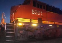Persona fallece tras ser atropellada por locomotora en carretera federal 45