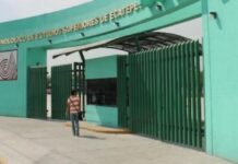 Encuentran recién nacido abandonado en el Tec de Ecatepec