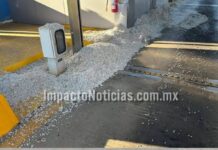 Tráiler cargado con semilla de algodón choca contra caseta de peaje en Camargo