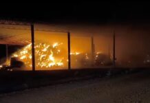 Voraz incendio arrasa con pacas y tráileres en rancho de Delicias