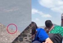 Mamá de tirador de Teotihuacán creía que su hijo estaba desaparecido