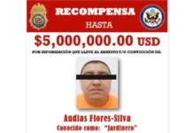 Cae posible sucesor del Mencho; Marina detiene a “El Jardinero” del CJNG y a su operador financiero “El Güero Conta”