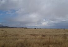 Pronostica Protección Civil vientos fuertes, tolvaneras y posibles lluvias en el estado