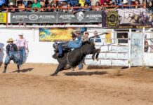Disfrutaron miles de familias el tradicional Rodeo de la Fundación
