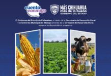 Continúa en Meoqui recepción de documentos para el programa “Cuenta Conmigo en el Campo”