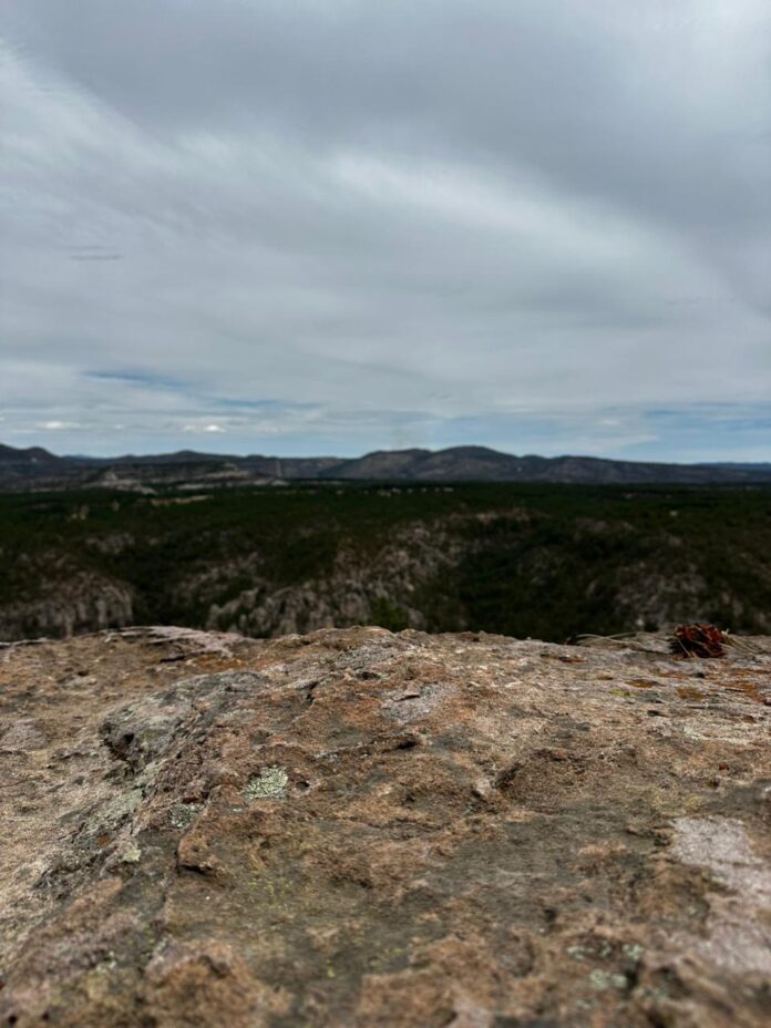 c62085ee-b405-4b1c-9245-102088b6bb5d