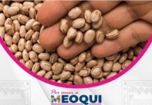 Abre Gobierno Municipal de Meoqui programa de frijol subsidiado a 13 pesos por kilo