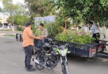 Entregan en Delicias 500 árboles frutales en programa agrícola