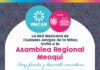 Meoqui sede de la Asamblea Regional de la Red Mexicana de las Ciudades Amigas de la Niñez