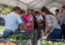 Convocan a productores regionales a participar en el Mercado de Productores de Delicias