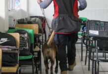 Implementa Seguridad Pública operativo preventivo en el CETis 87