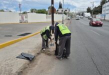 Marco Bonilla sí cumple: mantiene vialidades limpias y en buen estado para las y los chihuahuenses