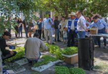 Impulsa Jesús Valenciano creación de huertos familiares con entrega de plántulas y semillas