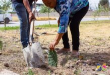 Se unen vecinos y Gobierno de Meoqui para rehabilitar espacio público en la Genaro Vázquez