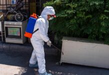 Refuerza Gobierno Municipal acciones contra la rickettsia en Delicias con fumigación y limpieza