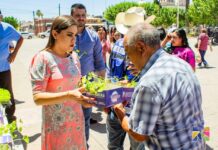 Entregan en Meoqui cerca de 3 mil plántulas y semillas de hortalizas para fortalecer la economía familiar