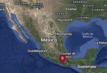 Reportan saldo blanco en Oaxaca tras sismo de magnitud 6; Sheinbaum descarta daños y víctimas