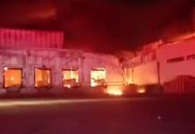 Incendio consume planta de Bachoco en Jalisco; no reportan víctimas