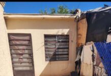 Mueren menor y mujer por presunta rickettsiosis en Ciudad Juárez