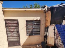 Mueren menor y mujer por presunta rickettsiosis en Ciudad Juárez