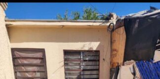 Mueren menor y mujer por presunta rickettsiosis en Ciudad Juárez