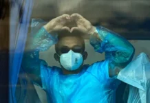 OMS confirma 11 casos de hantavirus y llama a países a seguir directrices ante posibles contagios
