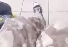 Padre de alumno amenaza a estudiantes; video se viraliza y abre investigación