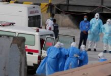 Salud emite alerta epidemiológica nacional por hantavirus tras brote en crucero del Atlántico