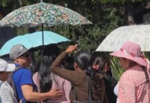 Van 13 muertes por golpe de calor en México desde marzo; Chiapas y Veracruz con más casos