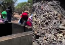 Madres buscadoras localizan crematorio clandestino con restos humanos en rancho de Lagos de Moreno