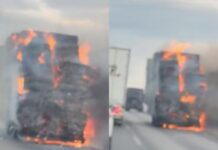 Arde camión cargado de alfalfa en carretera a Juárez