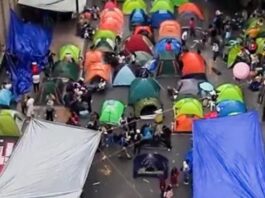 Muere maestro de la CNTE en plantón del Zócalo de CDMX