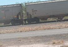 Muere hombre arrollado por el tren en carretera Delicias–Saucillo