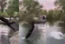 Muere adolescente de 15 años ahogado en río de Guasave tras lanzarse clavado