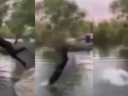 Muere adolescente de 15 años ahogado en río de Guasave tras lanzarse clavado