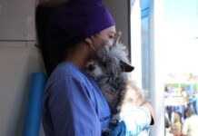 Fortalece Marco Bonilla protección animal con acciones en favor de perros y gatos