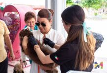 Ofrece Gobierno de Meoqui desparasitación gratuita para mascotas