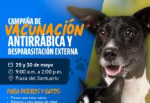 Invitan a vacunar gratuitamente a perros y gatos en la Plaza del Santuario