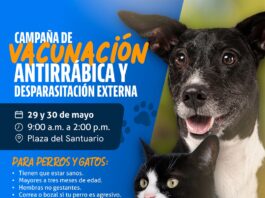Invitan a vacunar gratuitamente a perros y gatos en la Plaza del Santuario