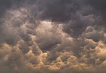 Alerta por vientos de hasta 55 km/h y calor de 37°C este viernes en Chihuahua; prevén tolvaneras y lluvias aisladas