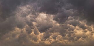 Alerta por vientos de hasta 55 km/h y calor de 37°C este viernes en Chihuahua; prevén tolvaneras y lluvias aisladas