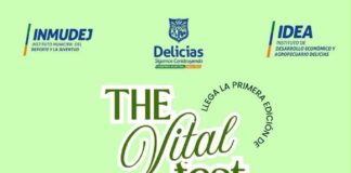 Participa en el Vital Fest y disfruta de actividades gratuitas para toda la familia