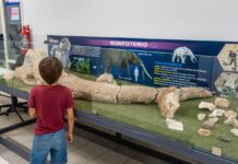 Impulsará Gobierno de Meoqui aprendizaje y lectura con nuevo programa “Museo Móvil”