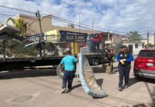Anuncian jornadas de Destilichadero en colonias Roma I y II y Sector Poniente
