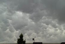 Pronostican lluvias fuertes para este miércoles en gran parte de Chihuahua